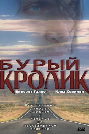 Бурый кролик  онлайн